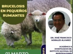 Brucelosis en caprinos y ovinos ¿Cuál es su importancia?