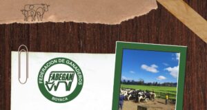 FELIZ DIA DEL VETERINARIO