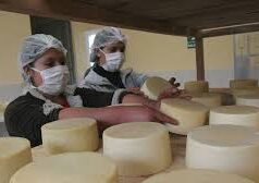 Con plata de los ganaderos se harán las subastas de leche para liberar inventarios de la industria láctea